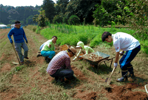 画像：ジャガイモ掘りの様子